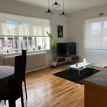Apartamento Location Chez Marie Horbourg Exterior foto