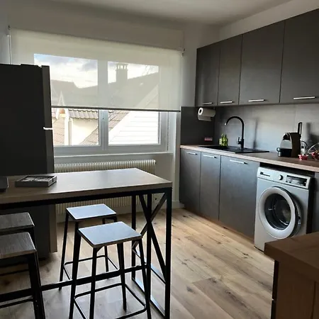 Apartamento Location Chez Marie Horbourg Exterior foto