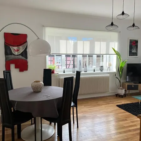 Apartamento Location Chez Marie Horbourg Exterior foto
